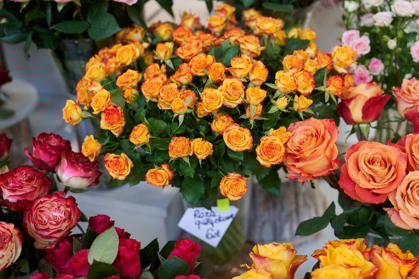 Zobacz ceny towarów  w Hali Targowej przy Piaskowej