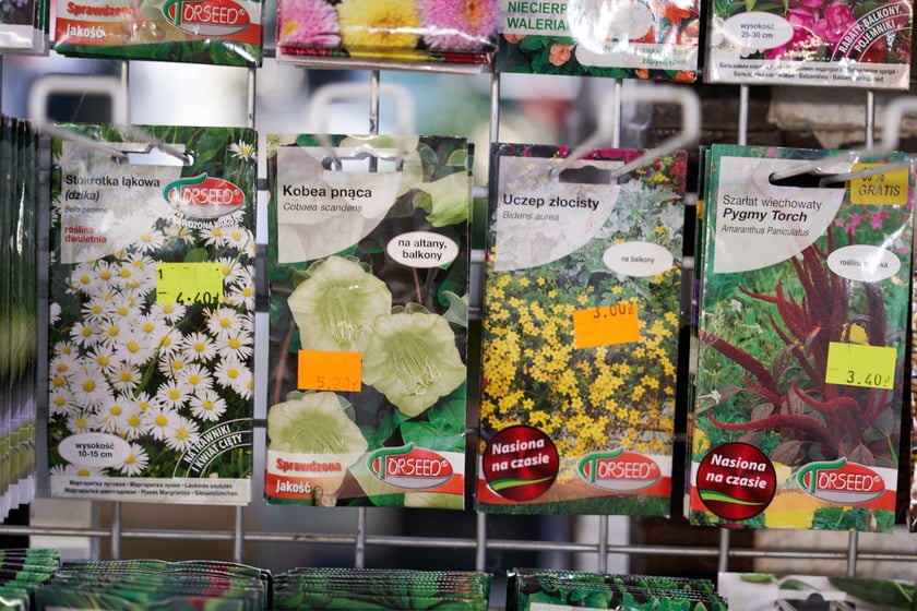 Zobacz ceny towarów  w Hali Targowej przy Piaskowej