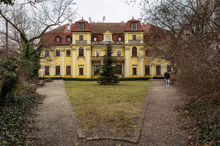 Przedmieście Oławskie, zima 2024