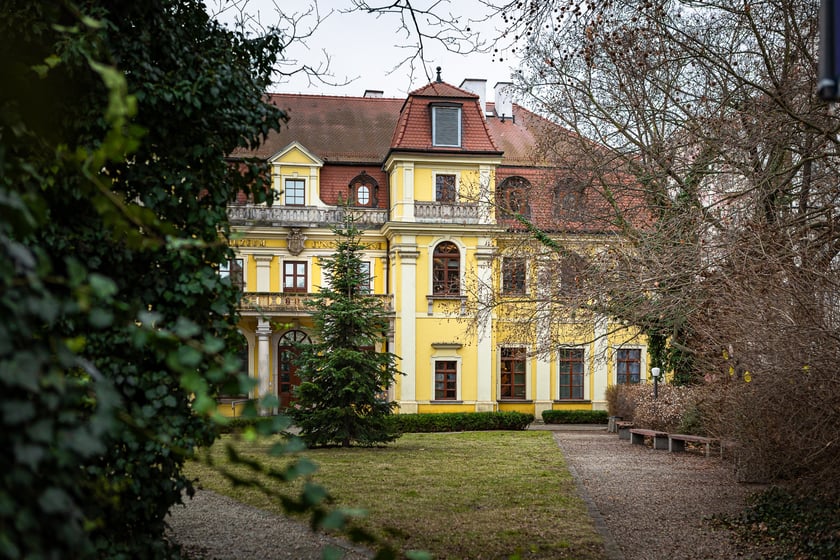 Przedmieście Oławskie, zima 2024