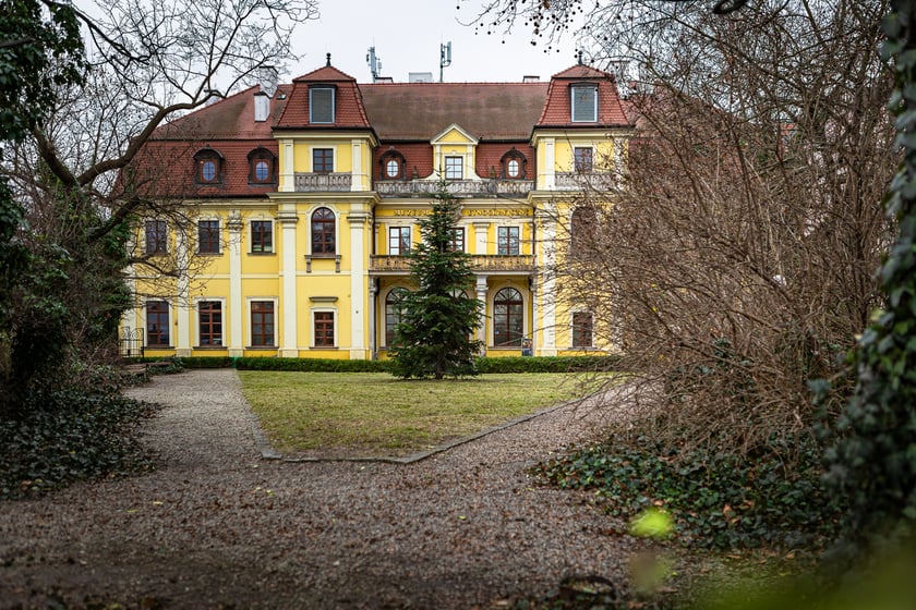 Przedmieście Oławskie, zima 2024