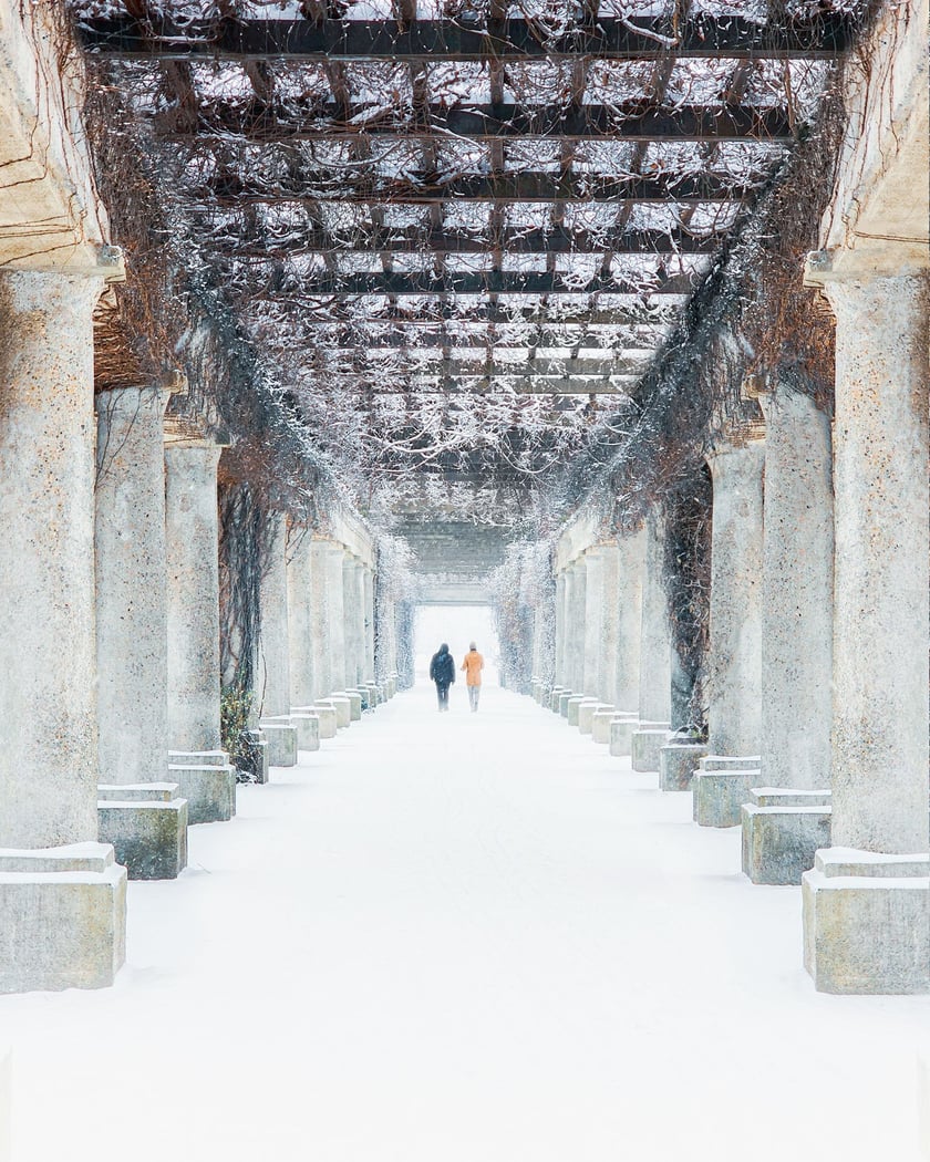 Pergola zimą przy Hali Stulecia