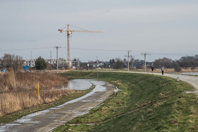 Woda z Widawy stojąca na niezabudowanych terenach we Wrocławiu (18 lutego 2024)