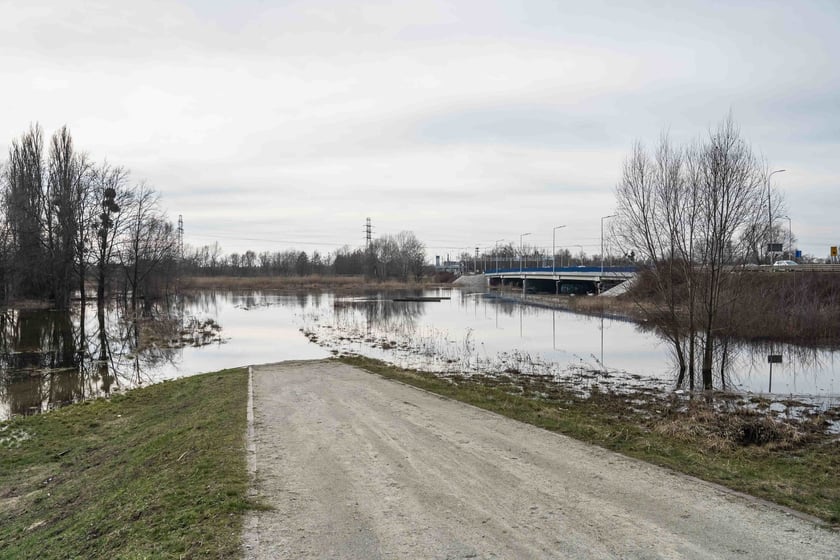 Woda z Widawy stojąca na niezabudowanych terenach we Wrocławiu (18 lutego 2024)