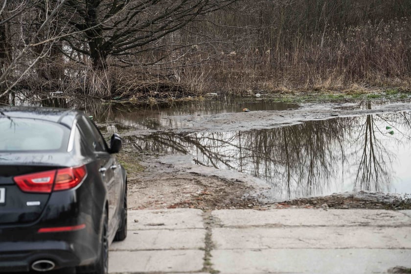 Woda z Widawy stojąca na niezabudowanych terenach we Wrocławiu (18 lutego 2024)