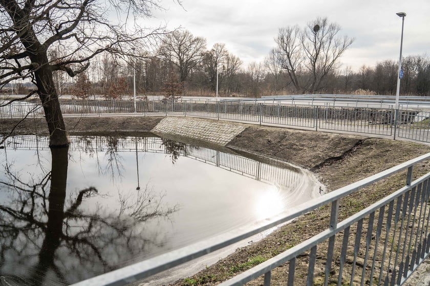 Woda z Widawy stojąca na niezabudowanych terenach we Wrocławiu (18 lutego 2024)