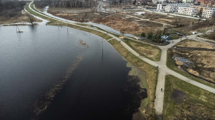 Woda z Widawy stojąca na niezabudowanych terenach we Wrocławiu (18 lutego 2024)