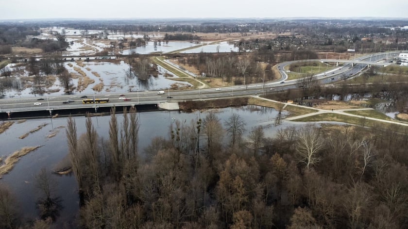Woda z Widawy stojąca na niezabudowanych terenach we Wrocławiu (18 lutego 2024)
