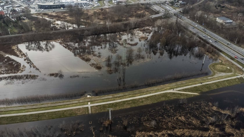 Woda z Widawy stojąca na niezabudowanych terenach we Wrocławiu (18 lutego 2024)