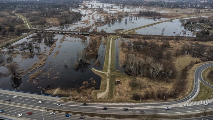 Woda z Widawy stojąca na niezabudowanych terenach we Wrocławiu (18 lutego 2024)