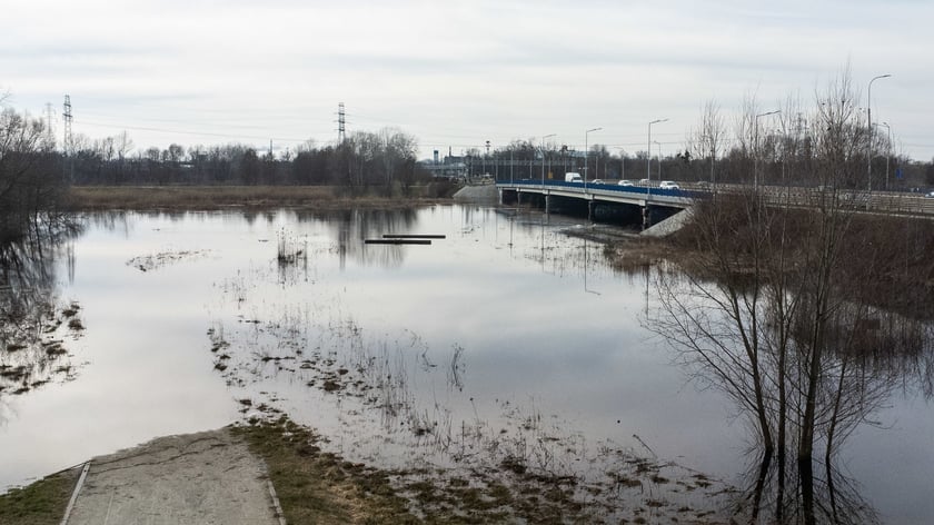 Woda z Widawy stojąca na niezabudowanych terenach we Wrocławiu (18 lutego 2024)