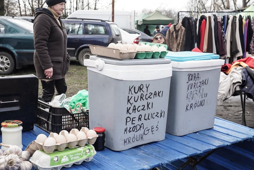 Targ na Młynie (25 lutego 2024)