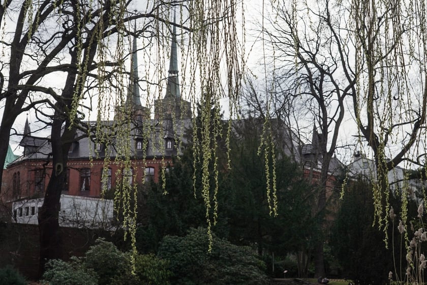 Wrocław w weekend. Pierwsze oznaki wiosny