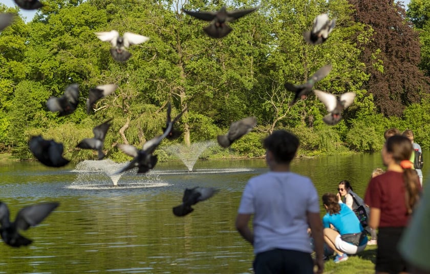 park Południowy we Wrocławiu