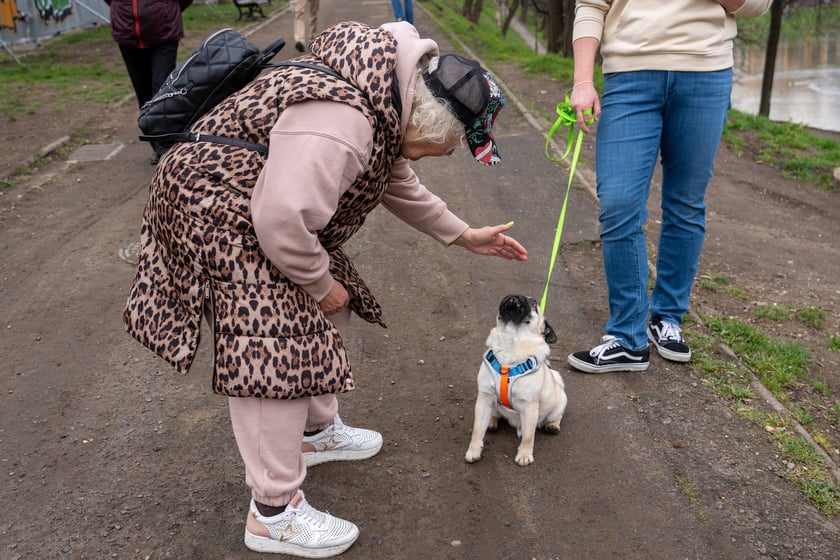 Dzień otwarty Bastionu Sakwowego, 23 marca 2024