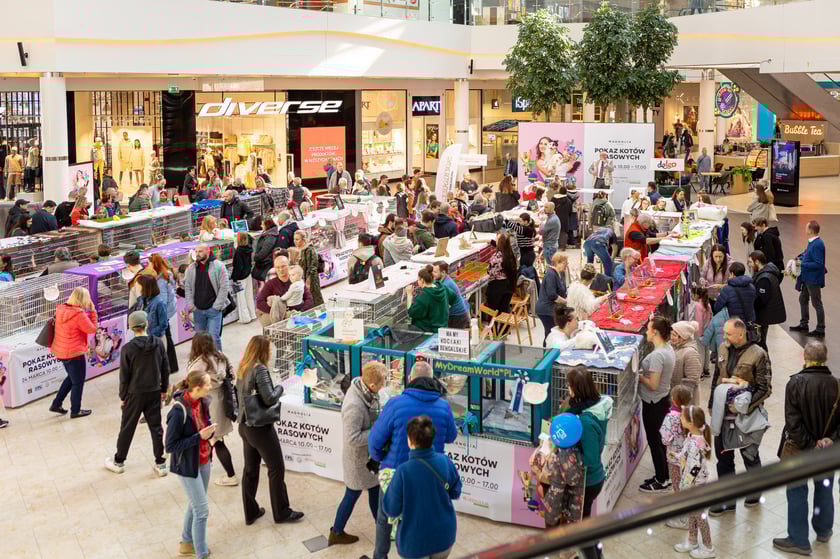 Prezentacja kotów rasowych w Magnolia Park - 24 marca