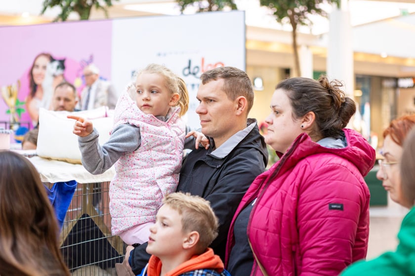 Prezentacja kotów rasowych w Magnolia Park - 24 marca