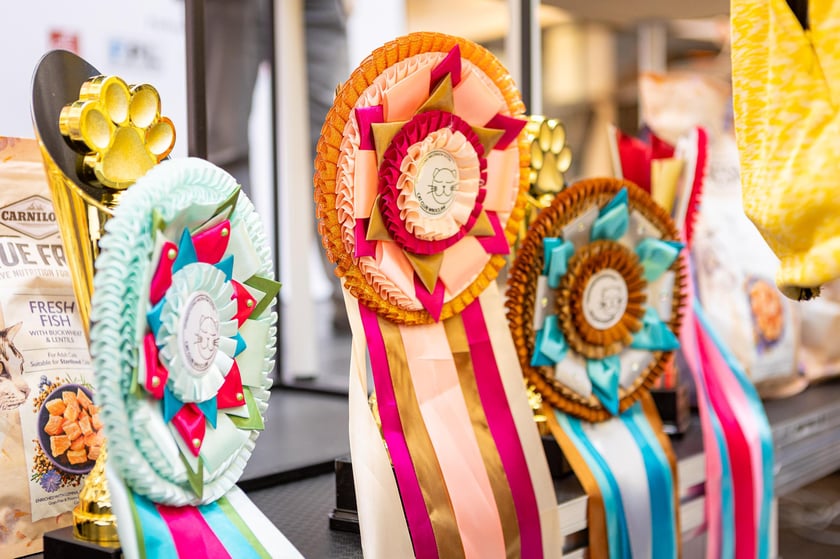 Prezentacja kotów rasowych w Magnolia Park - 24 marca