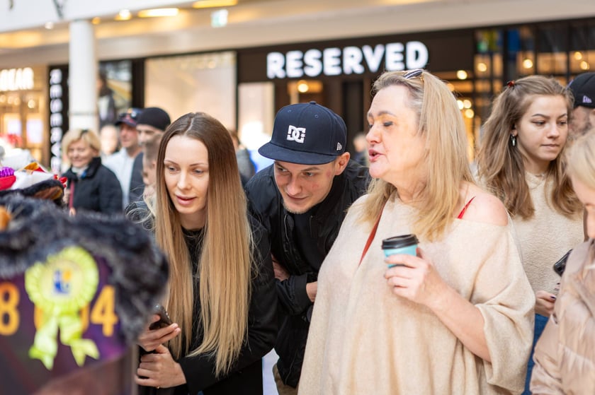 Prezentacja kotów rasowych w Magnolia Park - 24 marca