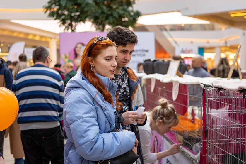 Prezentacja kotów rasowych w Magnolia Park - 24 marca