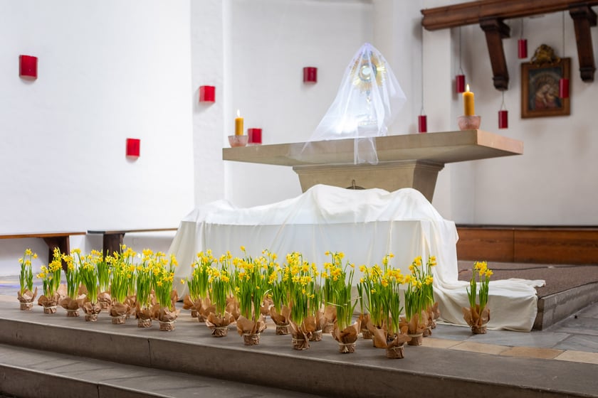 Grób pański w Maciejówce