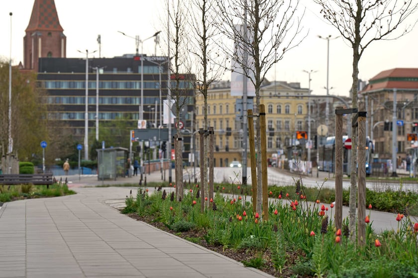 Puste miasto. Wrocław bez ludzi i bez samochodów. 31.03.2024