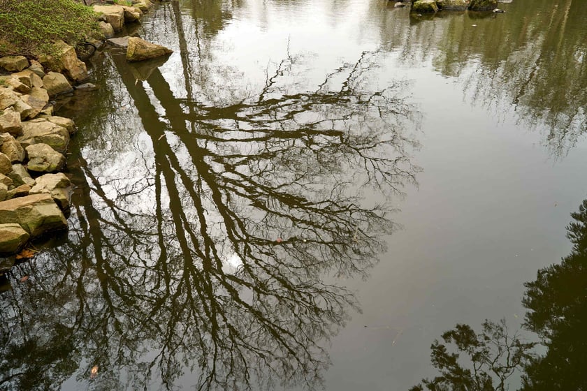 Ogród Japoński we Wrocławiu - 1 kwietnia 2024