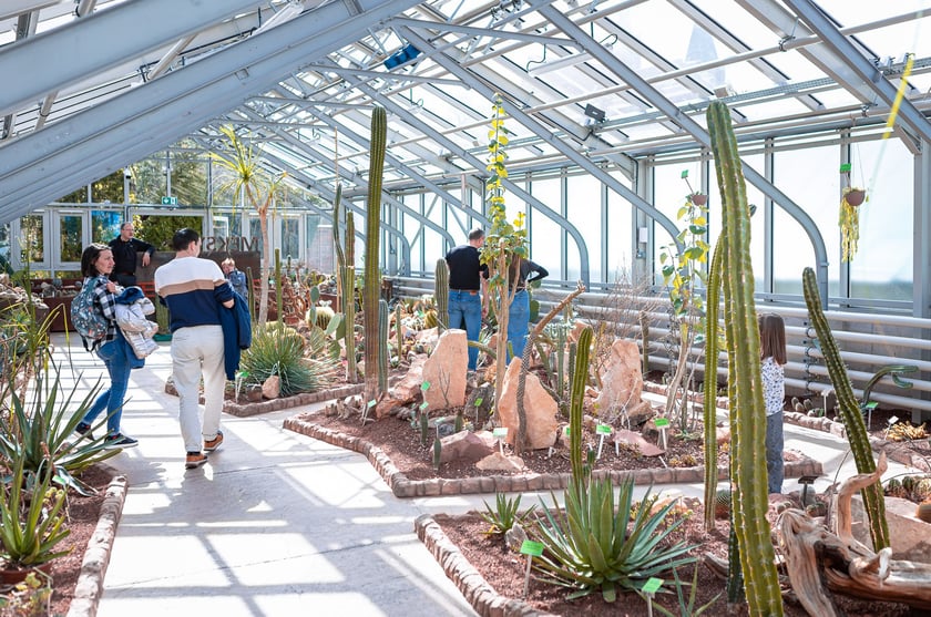 Wrocławski ogr&oacute;d botaniczny otwarty. Można go odwiedzać od 1 kwietnia do końca października.