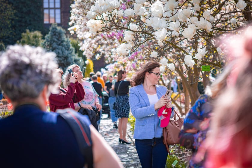 Wrocławski ogr&oacute;d botaniczny otwarty. Można go odwiedzać od 1 kwietnia do końca października.