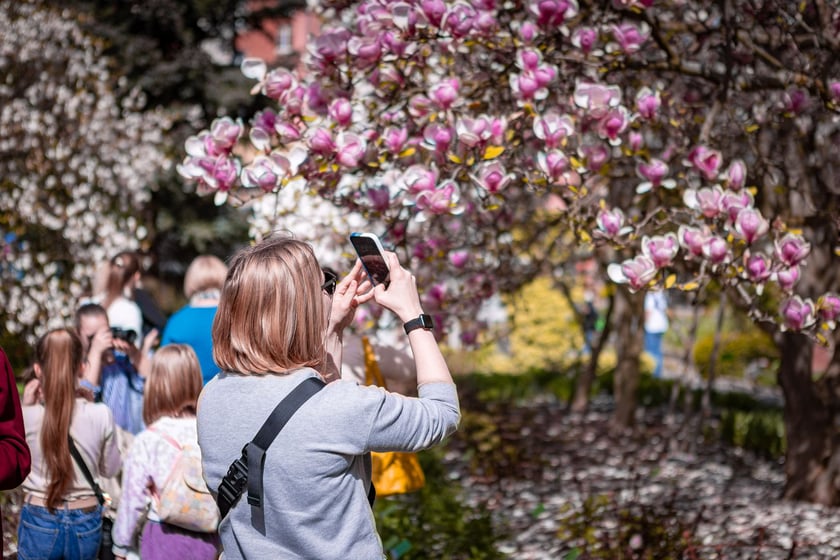 Wrocławski ogr&oacute;d botaniczny otwarty. Można go odwiedzać od 1 kwietnia do końca października.
