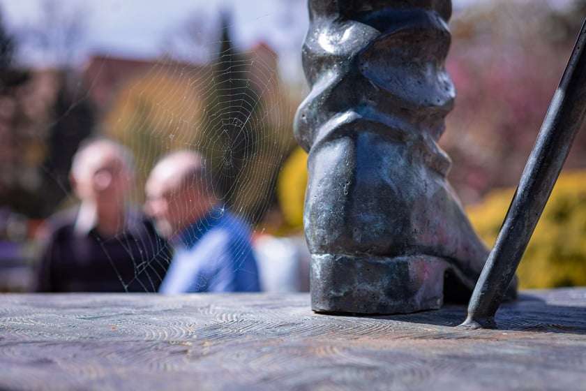 Wrocławski ogr&oacute;d botaniczny otwarty. Można go odwiedzać od 1 kwietnia do końca października.
