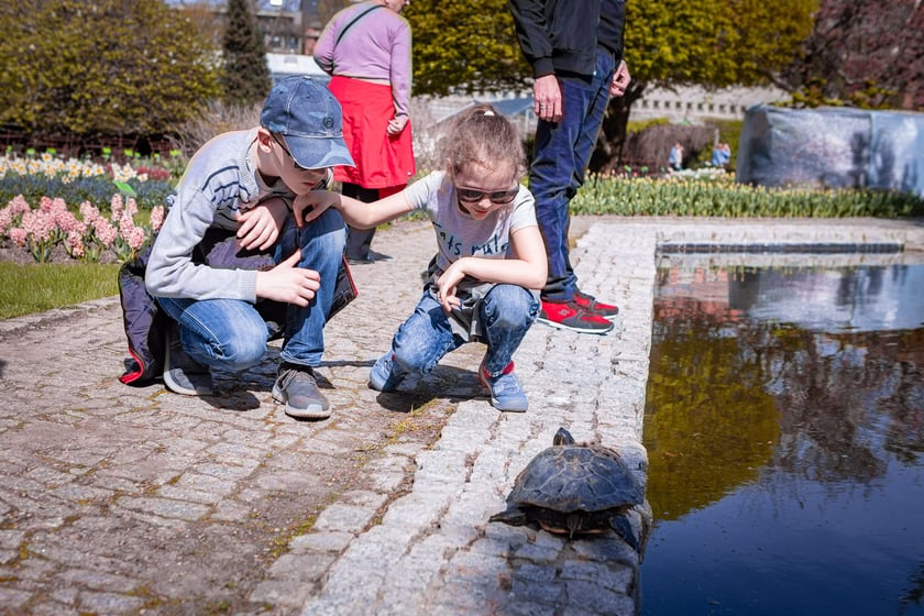 Wrocławski ogr&oacute;d botaniczny otwarty. Można go odwiedzać od 1 kwietnia do końca października.
