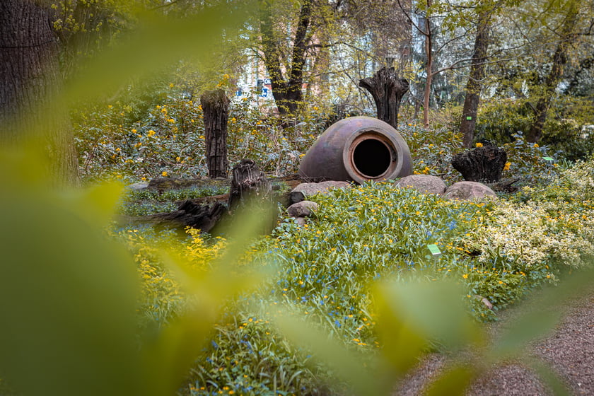 Wrocławski ogr&oacute;d botaniczny otwarty. Można go odwiedzać od 1 kwietnia do końca października.
