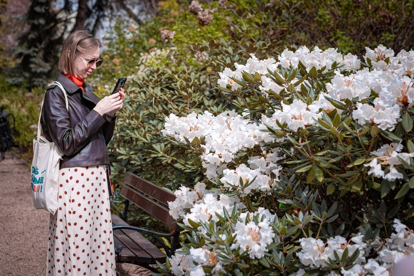 Wrocławski ogr&oacute;d botaniczny otwarty. Można go odwiedzać od 1 kwietnia do końca października.