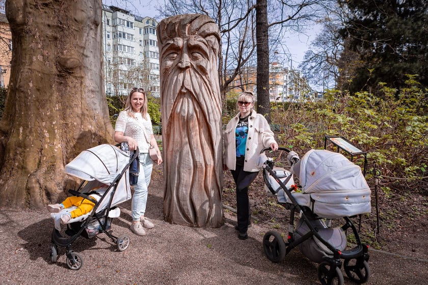 Wrocławski ogr&oacute;d botaniczny otwarty. Można go odwiedzać od 1 kwietnia do końca października.