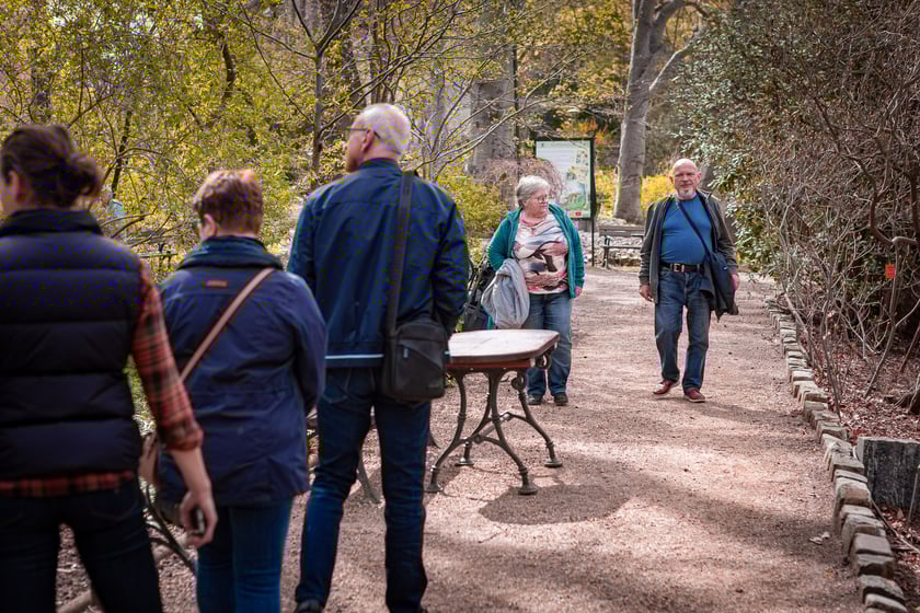 Wrocławski ogr&oacute;d botaniczny otwarty. Można go odwiedzać od 1 kwietnia do końca października.