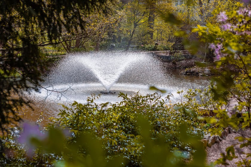Wrocławski ogr&oacute;d botaniczny otwarty. Można go odwiedzać od 1 kwietnia do końca października.
