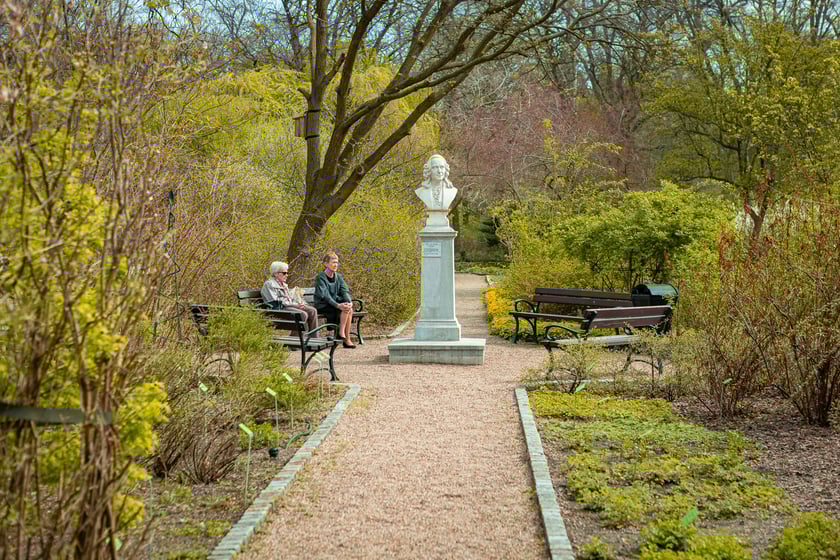 Wrocławski ogr&oacute;d botaniczny otwarty. Można go odwiedzać od 1 kwietnia do końca października.