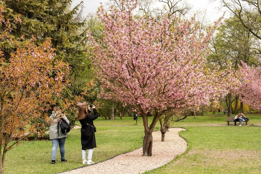 Aleja Sekur, Park Szczytnicki