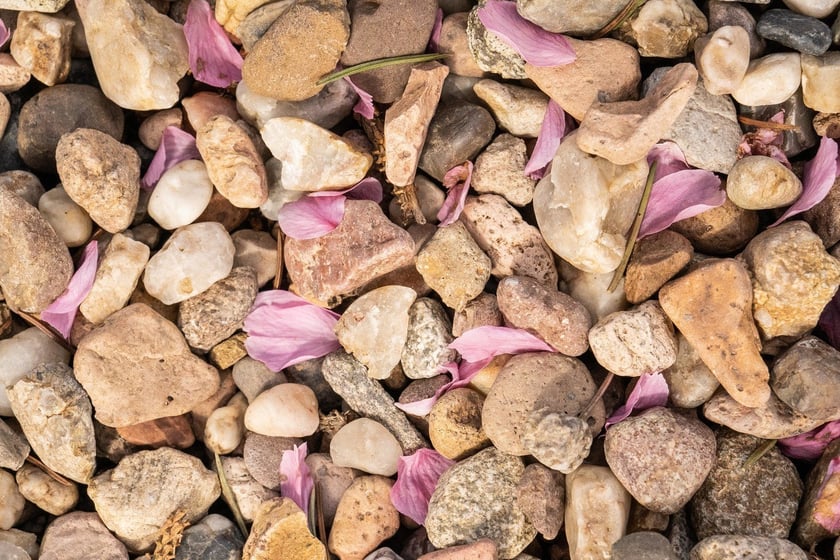 Aleja Sekur, Park Szczytnicki