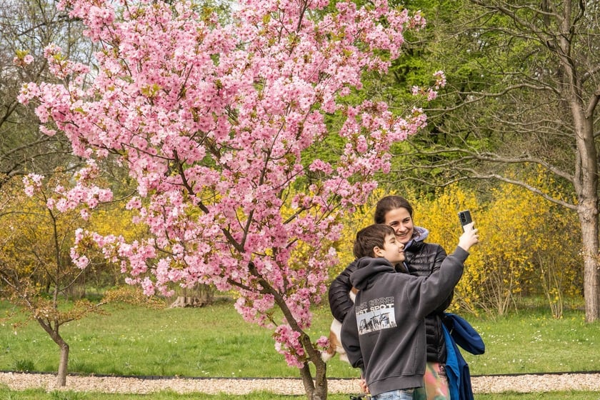 Aleja Sekur, Park Szczytnicki
