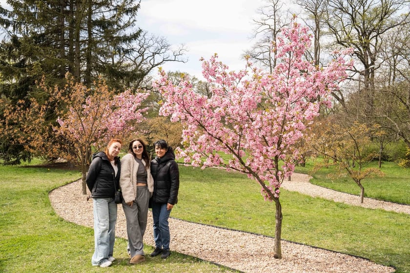 Aleja Sekur, Park Szczytnicki