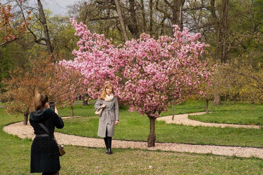 Aleja Sekur, Park Szczytnicki