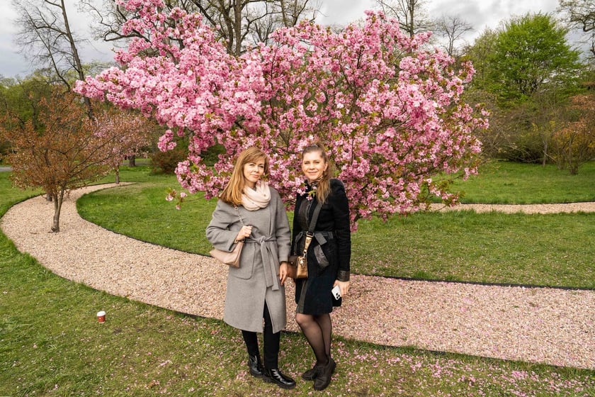 Aleja Sekur, Park Szczytnicki