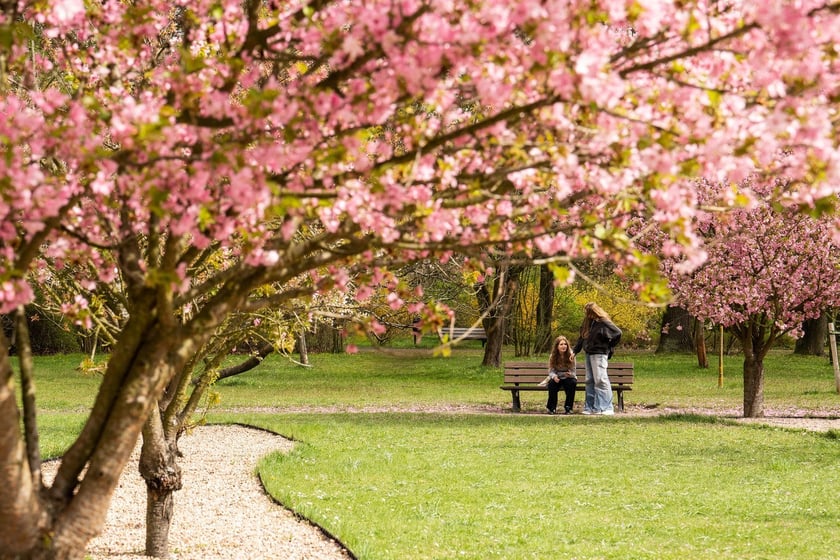 Aleja Sekur, Park Szczytnicki