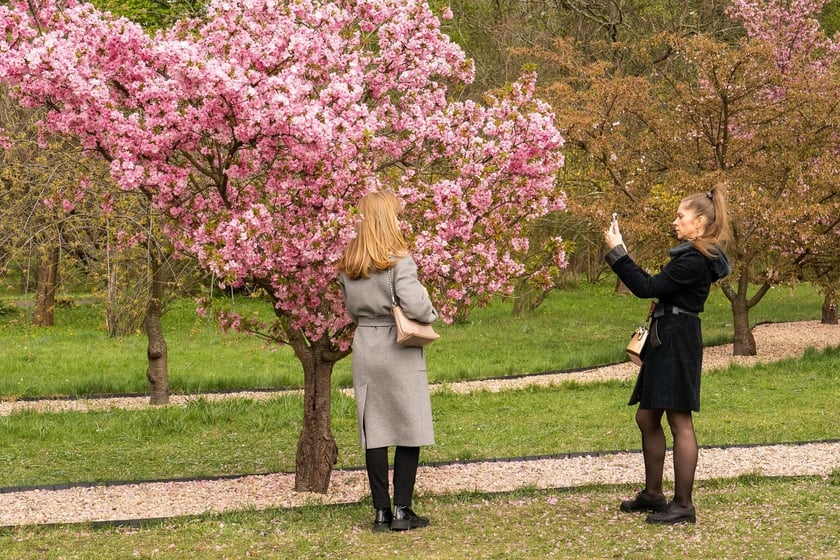 Aleja Sekur, Park Szczytnicki