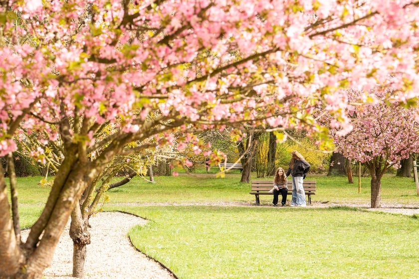 Aleja Sekur, Park Szczytnicki