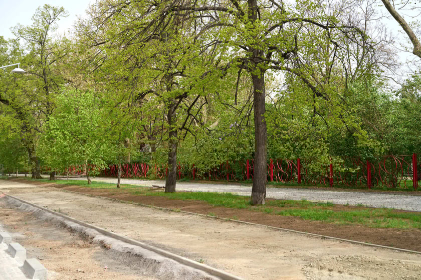 Przebudowa ul. Pomorskiej i pl. Staszica