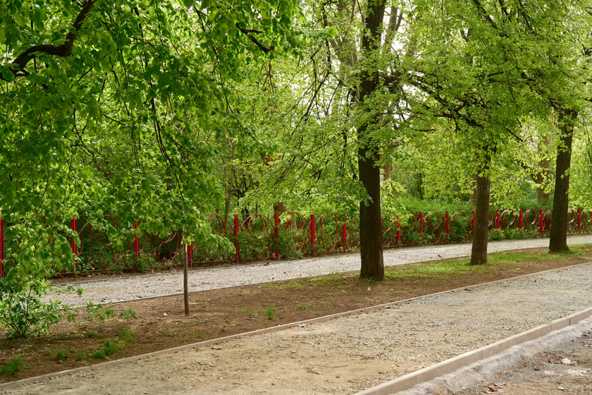 Przebudowa ul. Pomorskiej i pl. Staszica