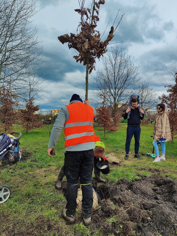 WROśnij we Wrocław - drzewa sadzone dla nowonarodzonych wrocławian
